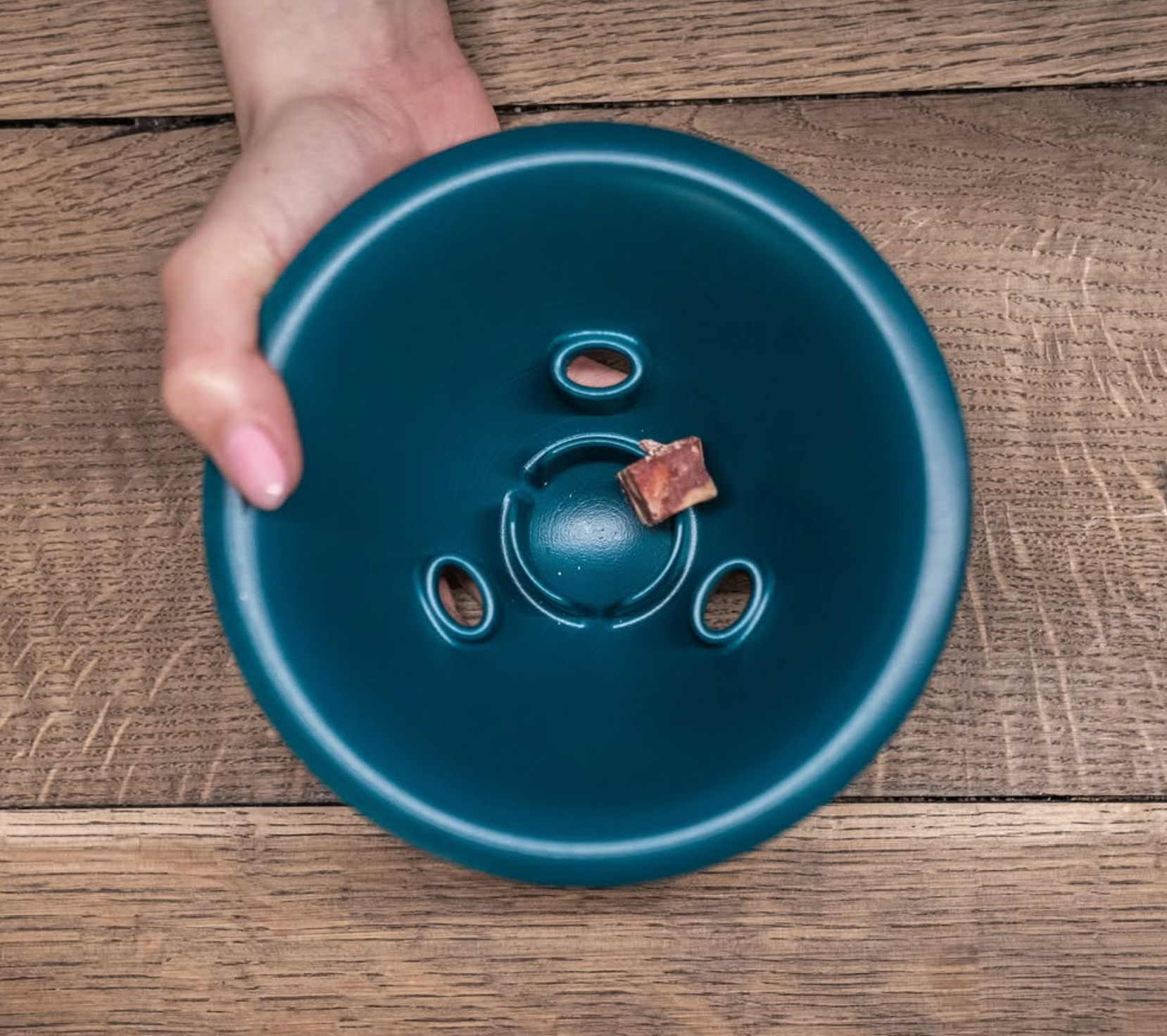 Bowly | The joy of play with the reward of a treat