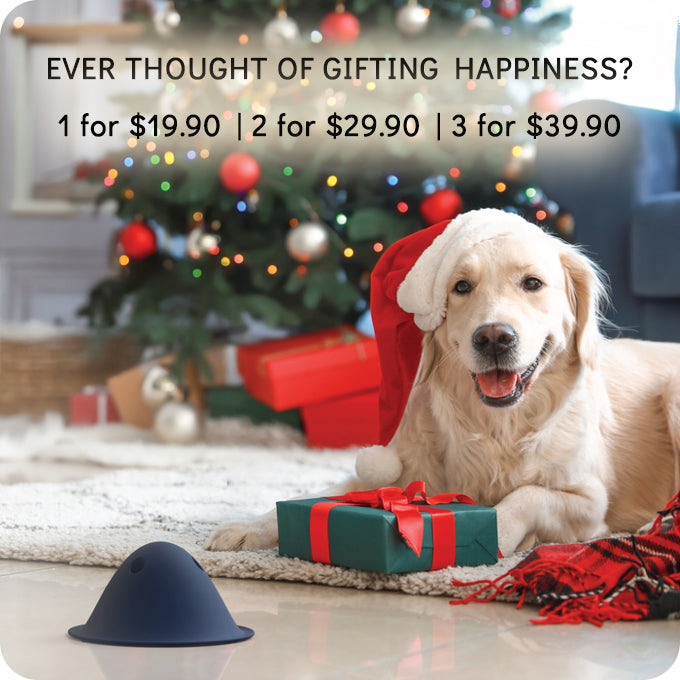 Bowly | The joy of play with the reward of a treat